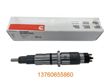 QSL8.9噴(pen)油嘴(zui)